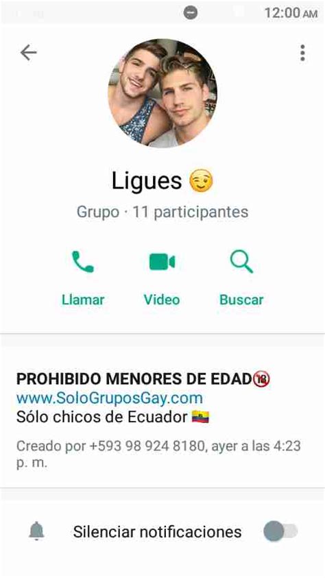 whatsapp chat gay